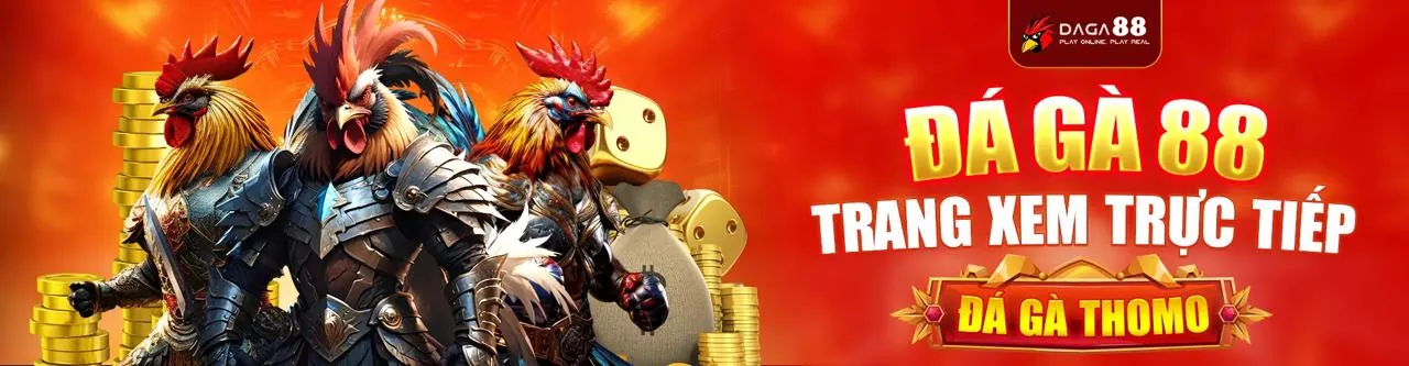 Đá Gà Trực Tuyến Awin68 Hấp Dẫn