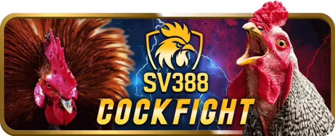 Cá cược bóng rổ tại awin68